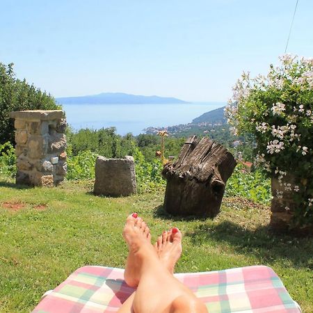 Sea View Apartment With Garden Near Opatija Veprinac Dış mekan fotoğraf