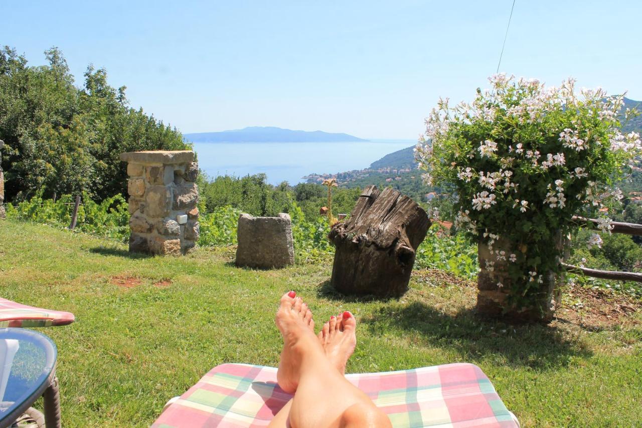 Sea View Apartment With Garden Near Opatija Veprinac Dış mekan fotoğraf
